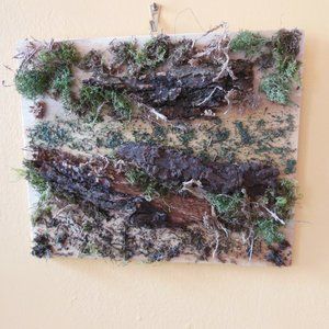 Moss & Bark Original Artwork